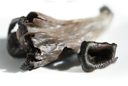 Black Trompette Mushroom