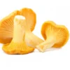 buy mushroom online